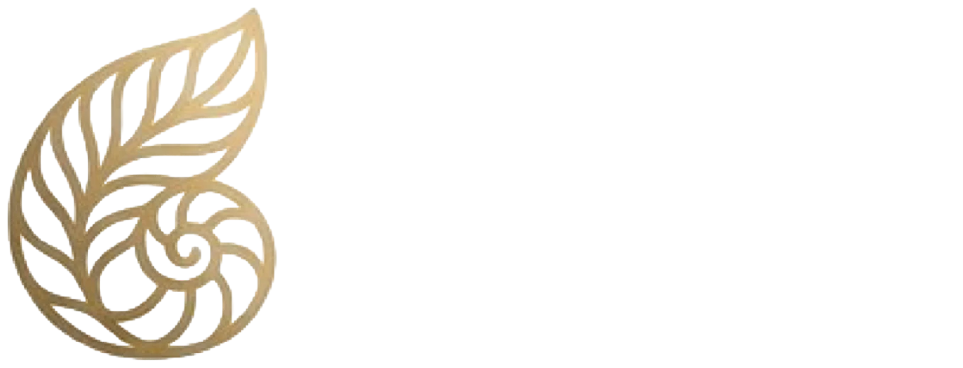 Iticus · Gestión gerontológica